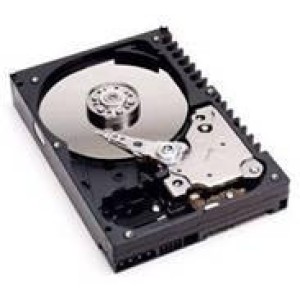 3274-8203 - IBM Power6 E4A 73.4 GB 10,000 RPM Ultra320 SCSI Disk