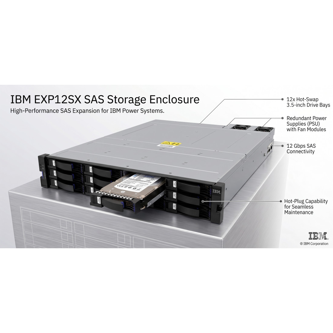 IBM ESLL EXP12SX SAS Storage Enclosure